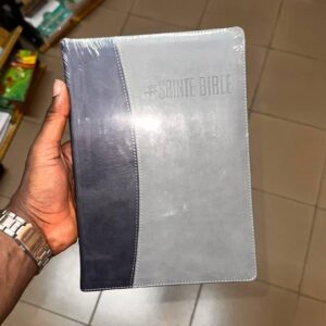 La Sainte Bible (Gris et Bleu)