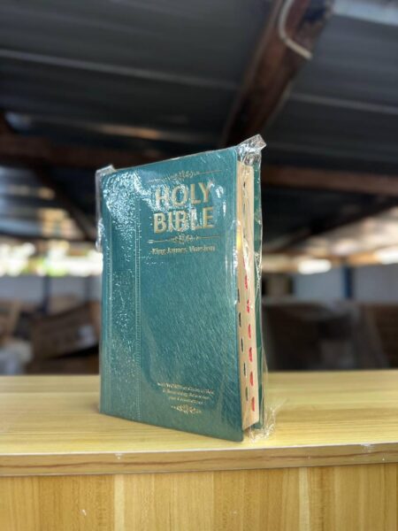 Holy Bible (King James Version - Vert)