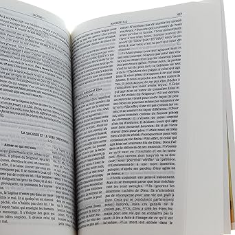 La Bible Parole de Vie Bleu – Image 3