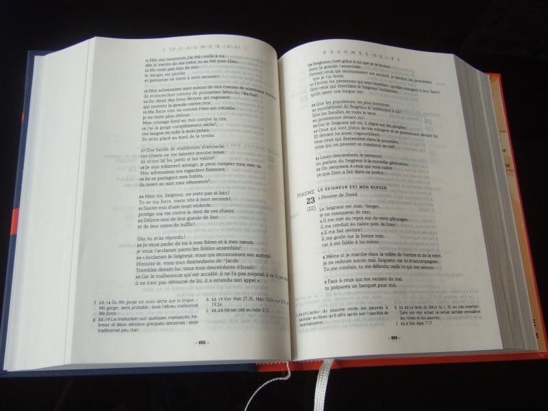 La Bible NFC – Français Courant Catholique | Gros Caractères – Image 2